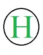 Бусины с буквами разноцветными H